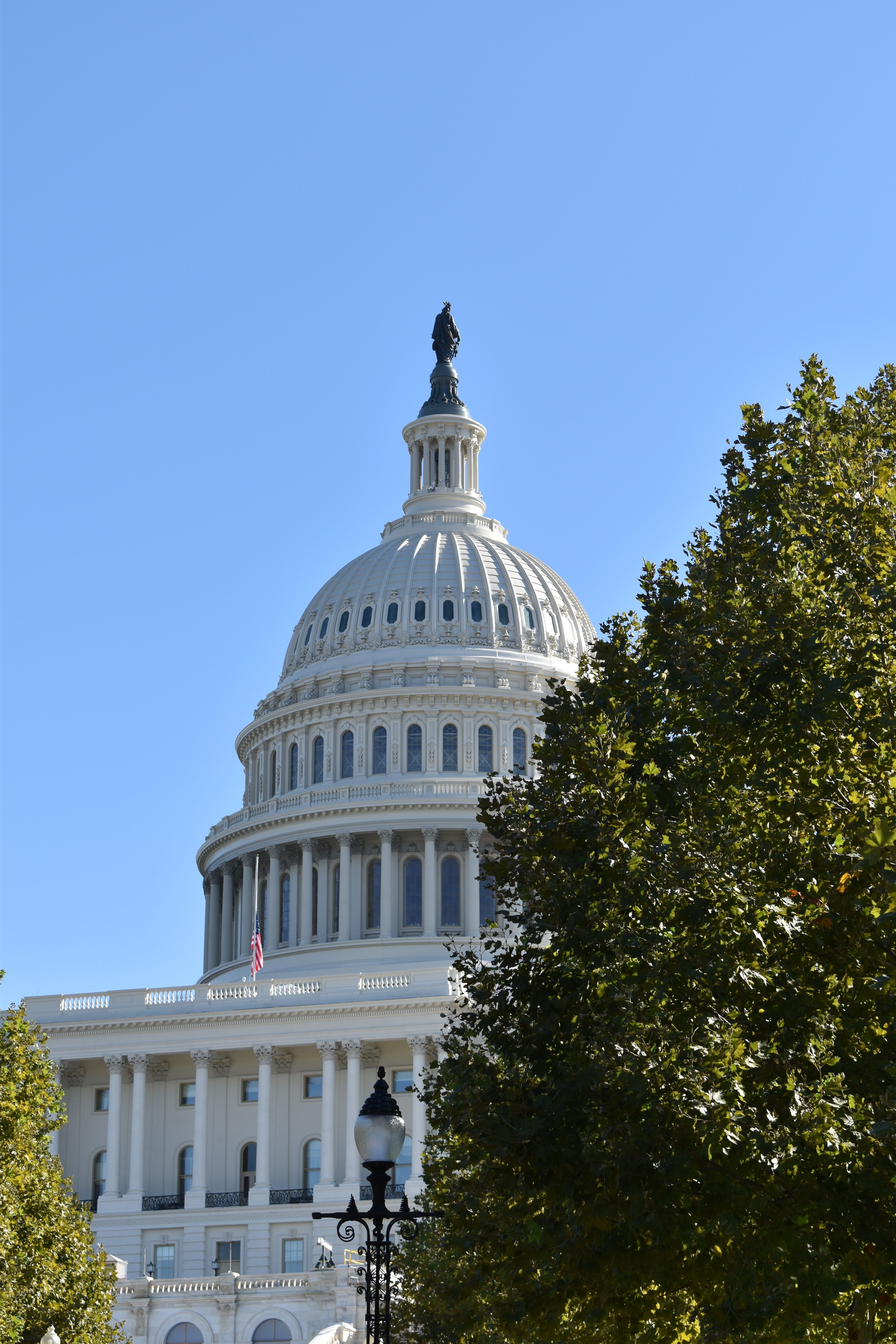 Capitolio de Estados Unidos en Washington D.C.